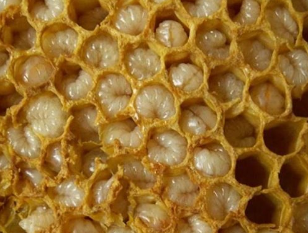 Des produits des abeilles